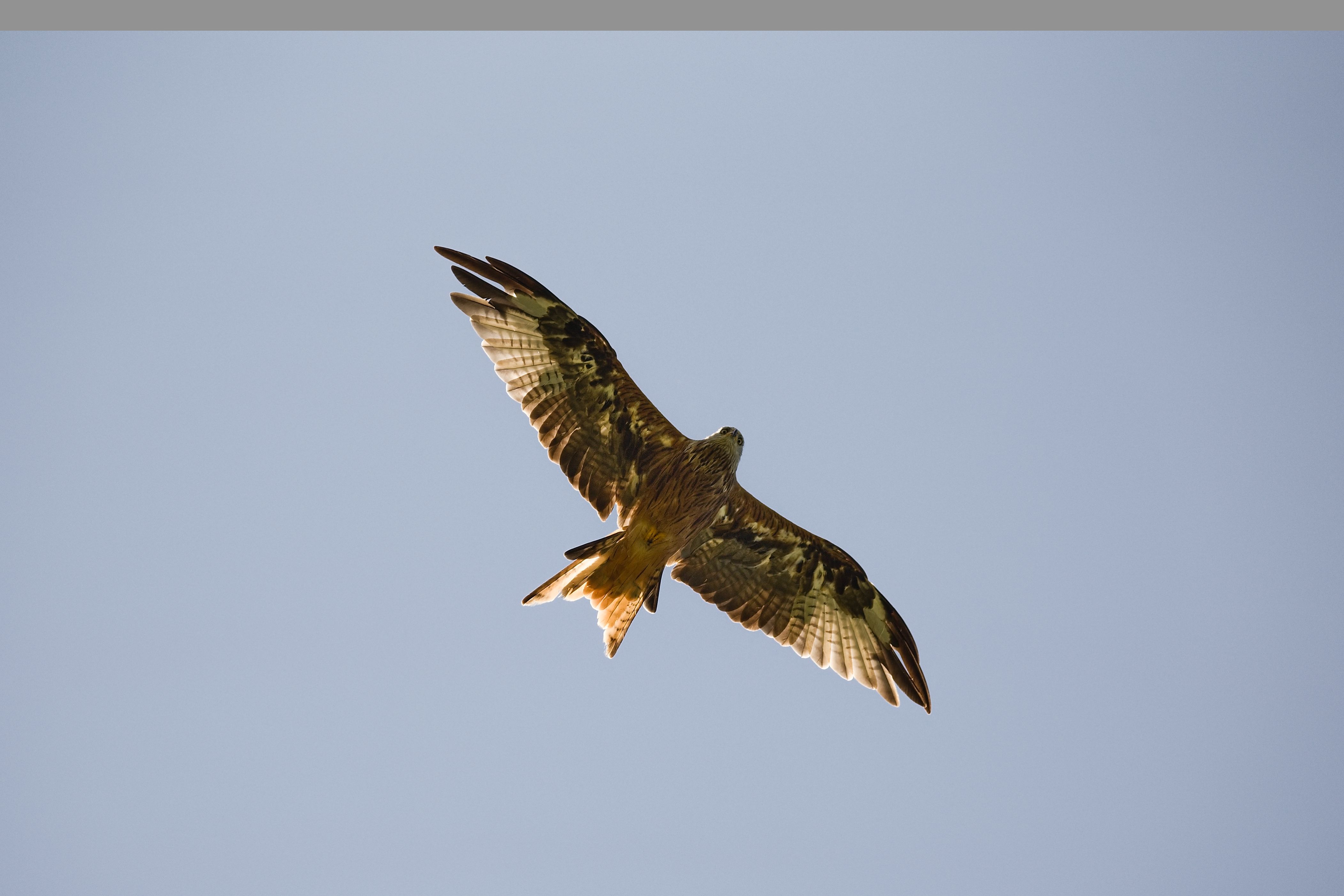 16.8.24IMG_2234_2.jpg